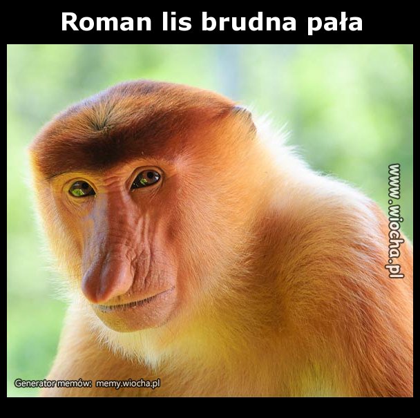 Roman lis brudna pała
