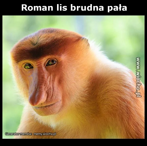 Roman lis brudna pała