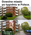 Taka prawda