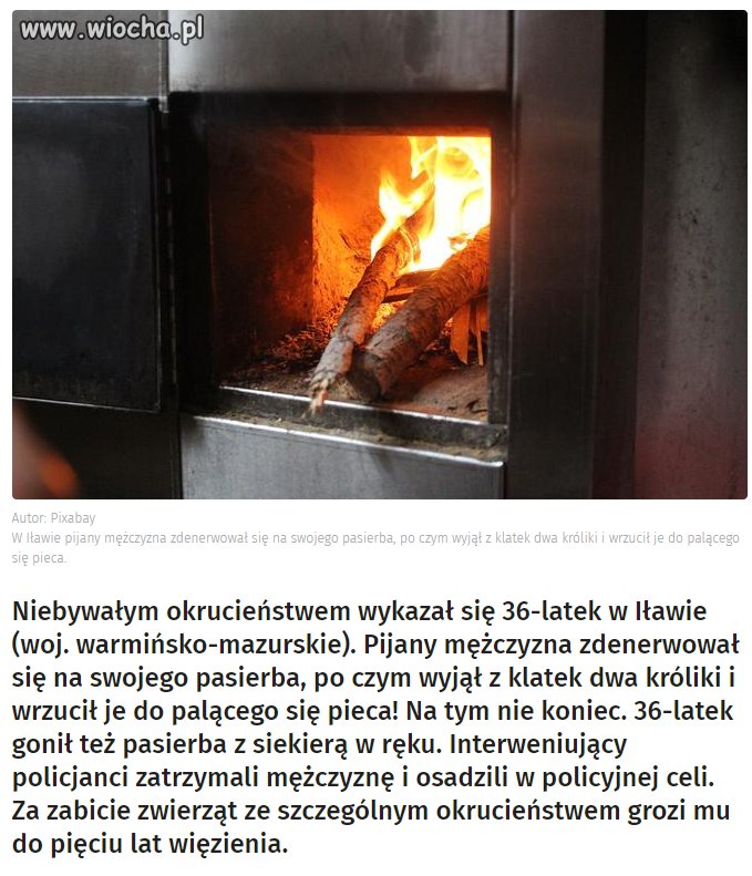 Co za ścierwo