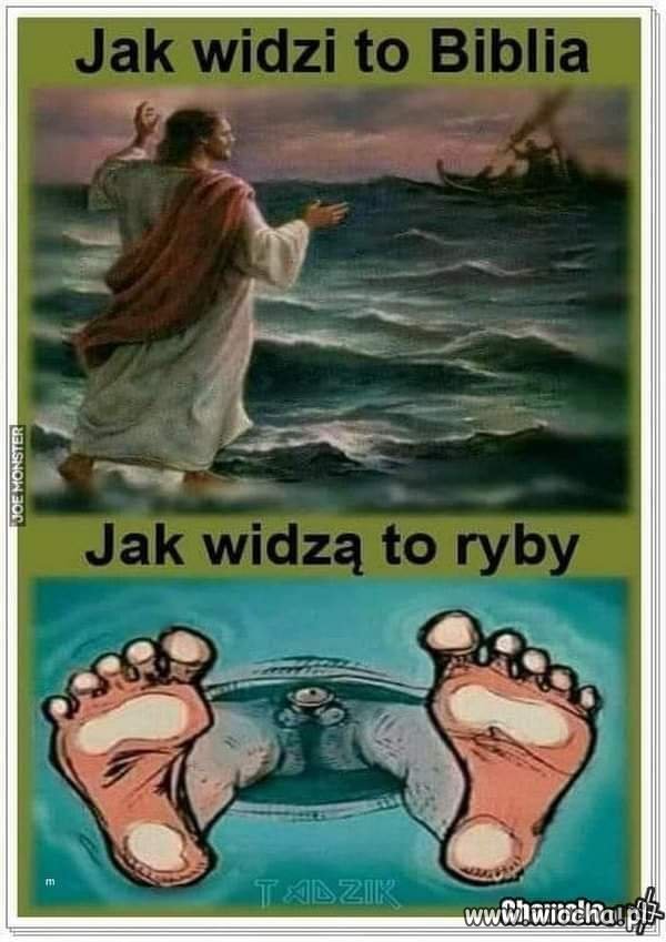 Różne punkty widzenia
