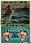 Różne punkty widzenia
