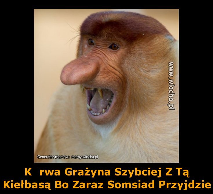 Ku*wa Grażyna Szybciej Z Tą Kiełbasą Bo Zaraz