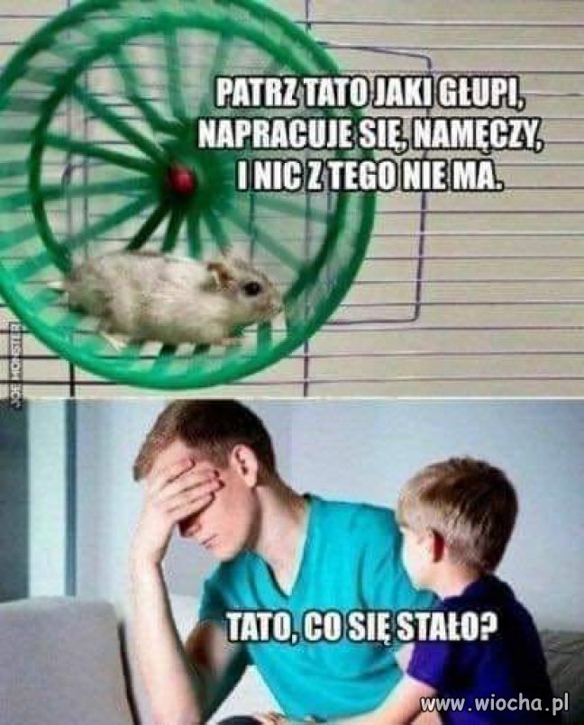 Taka prawda 