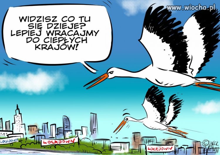 Tytuł ukradli