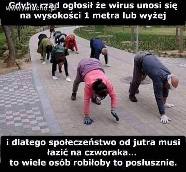 ☆☆☆☆☆ ☆☆☆