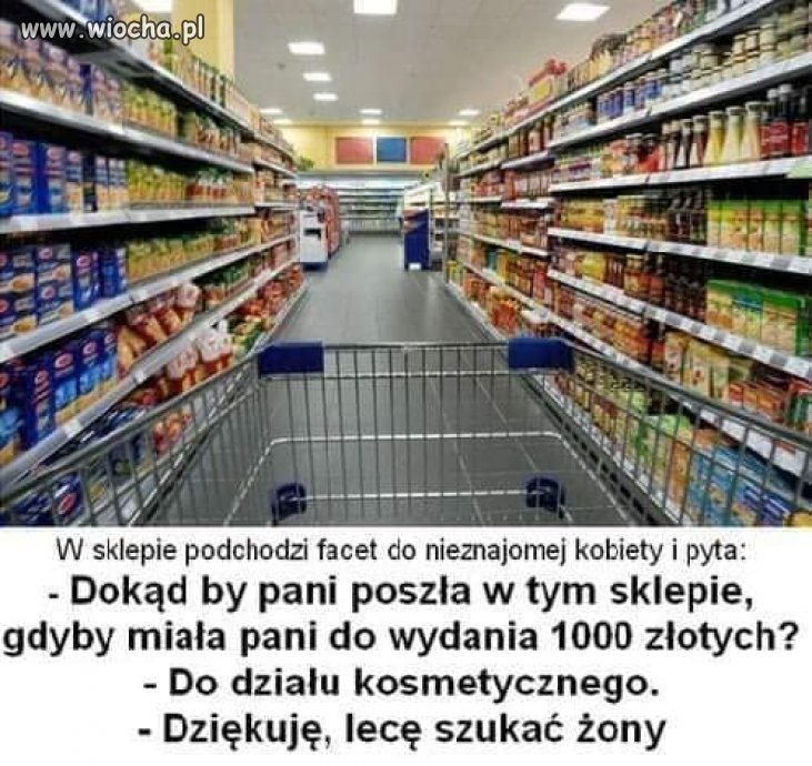 Szukam żony 