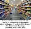 Szukam żony 