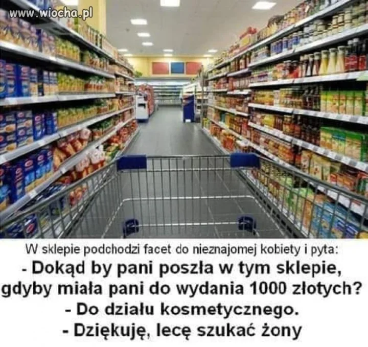 Szukam żony 
