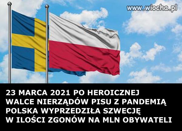 Polska wyprzedziła Szwecję