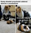 Coś w tym jest