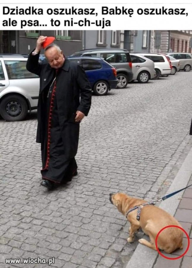 Bez komentarza