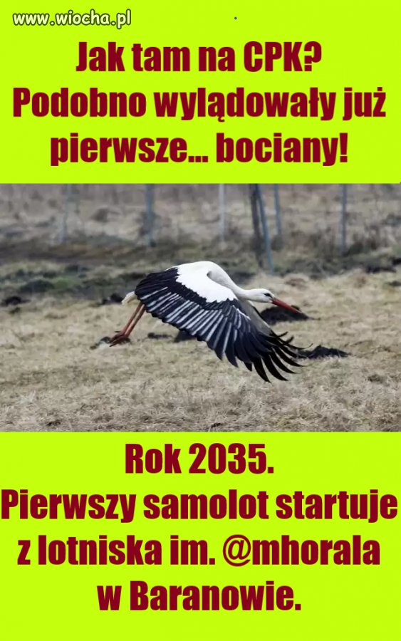Wiodące inwestycje piss