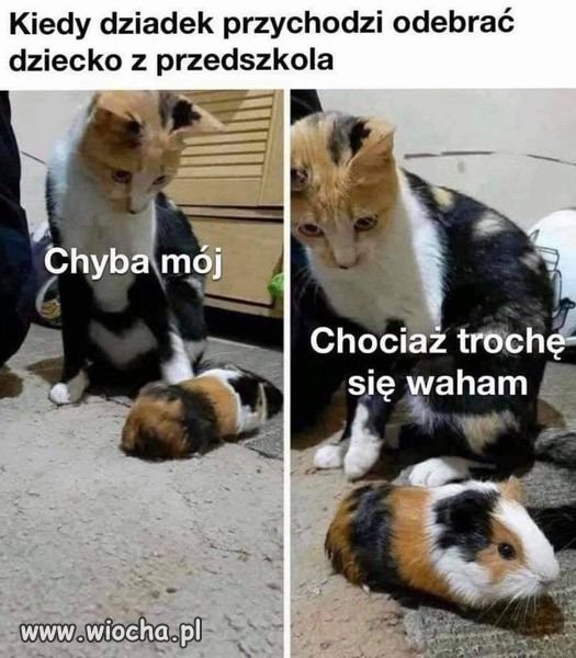 Taka sytuacja w przedszkolu