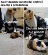 Taka sytuacja w przedszkolu