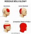 Cała prawda o bólu głowy