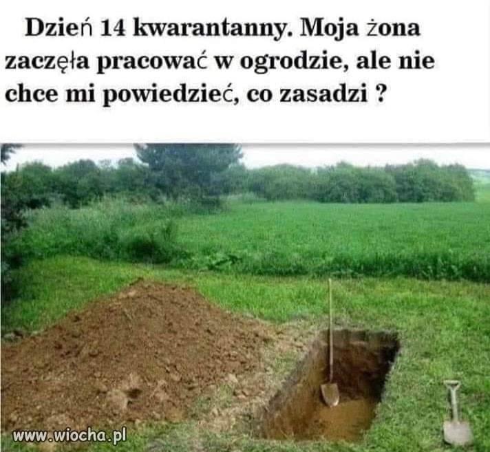Bolesna kwarantanna 