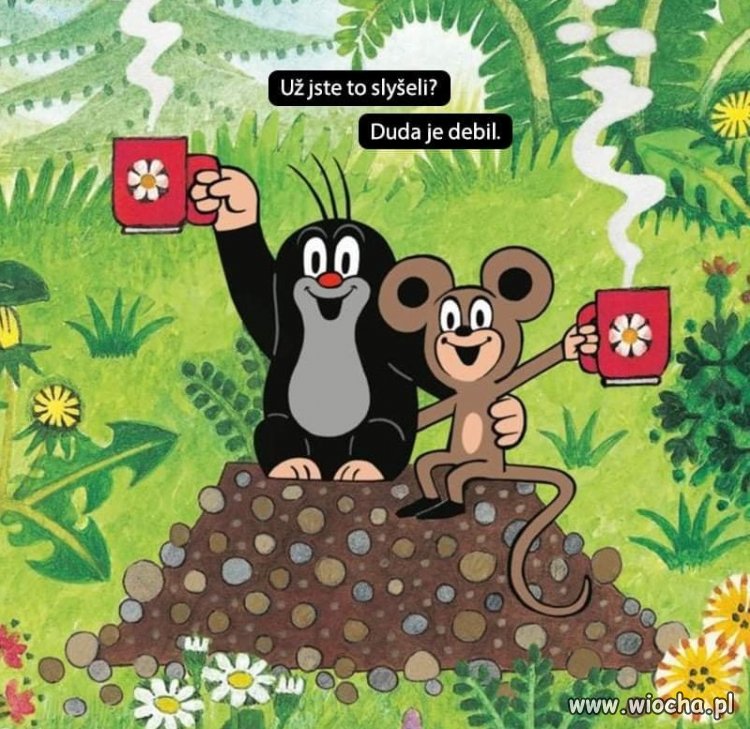 Czesi już wiedzą ...