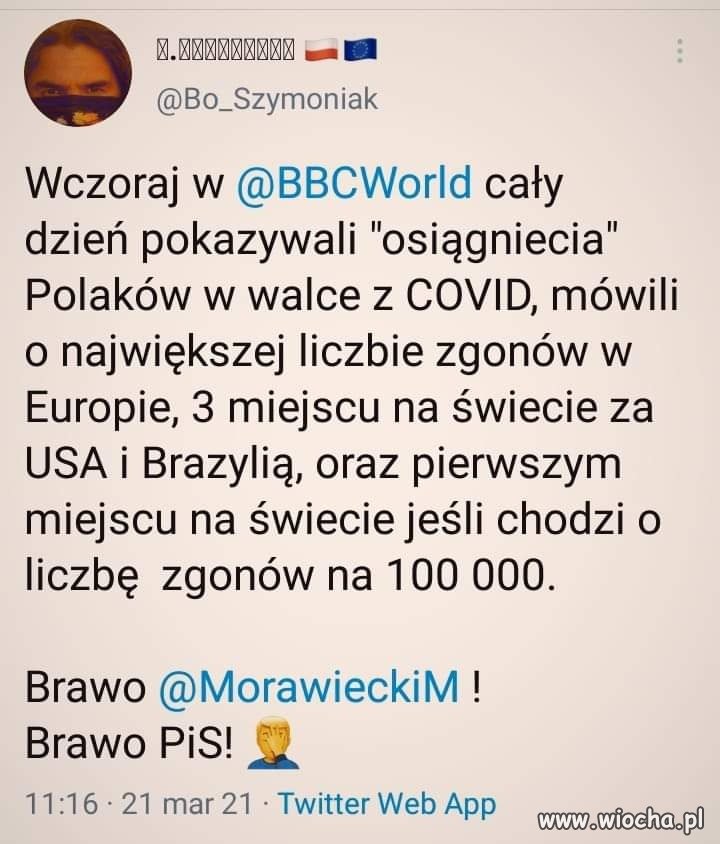 No sukces, k..wa, same sukcesy ...