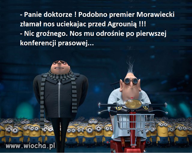 On tak właśnie ma 