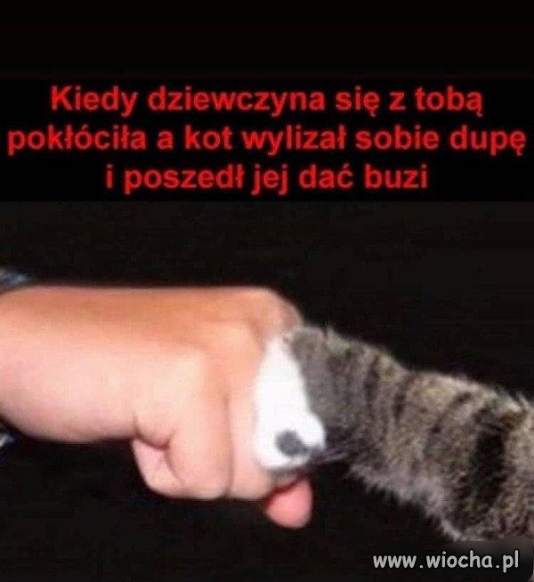 Kłótnia 