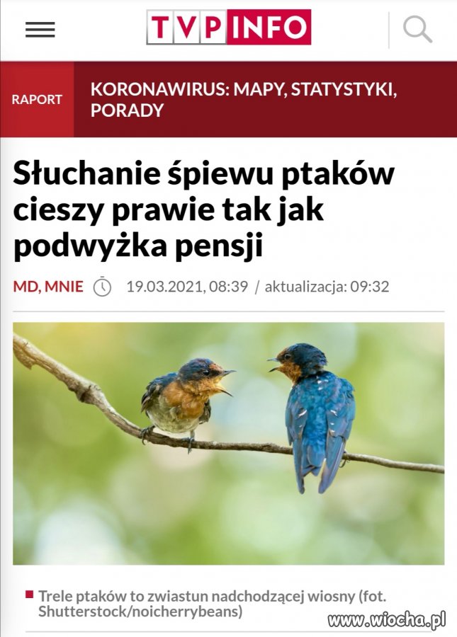 PiSowski plan na ratowanie gospodarki