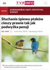 PiSowski plan na ratowanie gospodarki