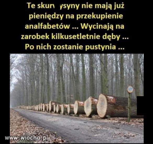 Po PiS zostanie pustynia i zgliszcza...