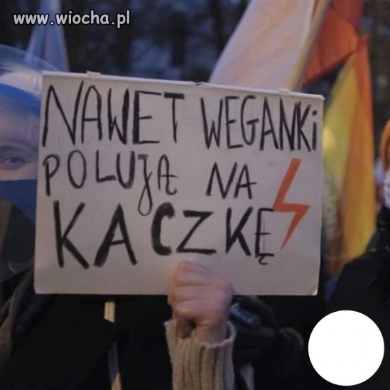 Czego nie rozumiesz?