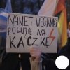 Czego nie rozumiesz?