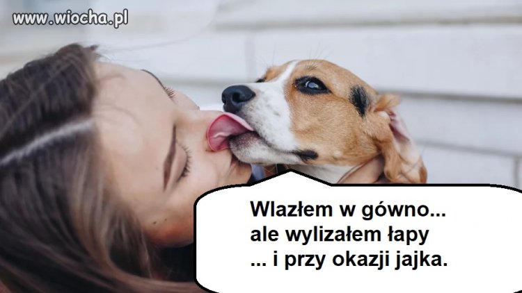 Psie historie