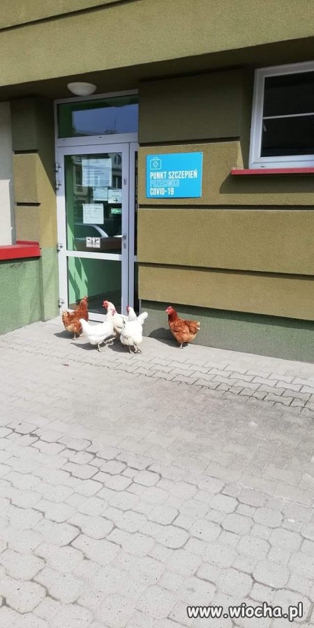 Punkt szczepień 