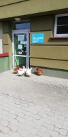 Punkt szczepień 