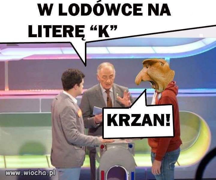 Janusz 