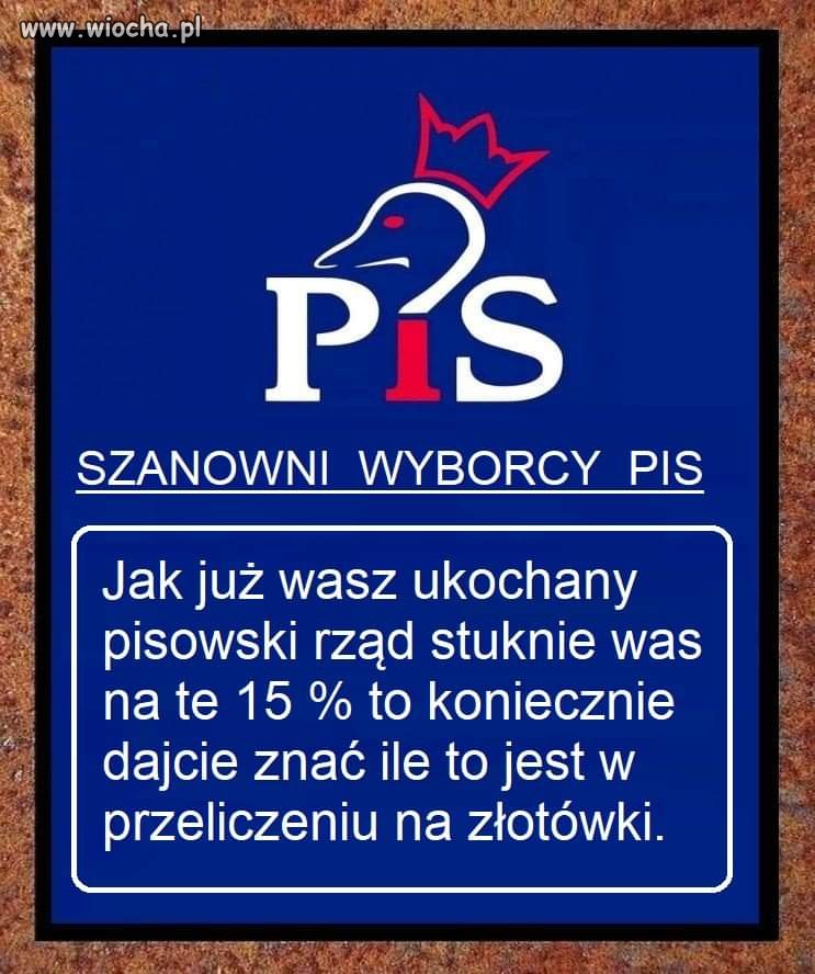 W punkt! 