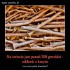 Bez komentarza...