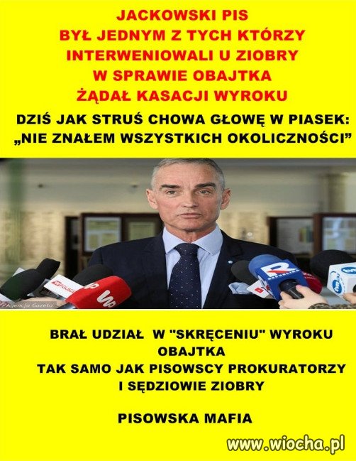 Ośmiornica PiSu tylko rośnie… ma więcej bohaterów!