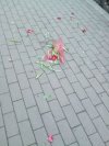 I po Dniu Kobiet