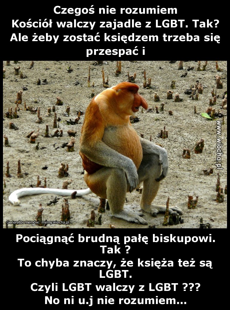 Czegoś nie rozumiem
