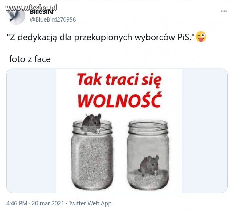 W punkt