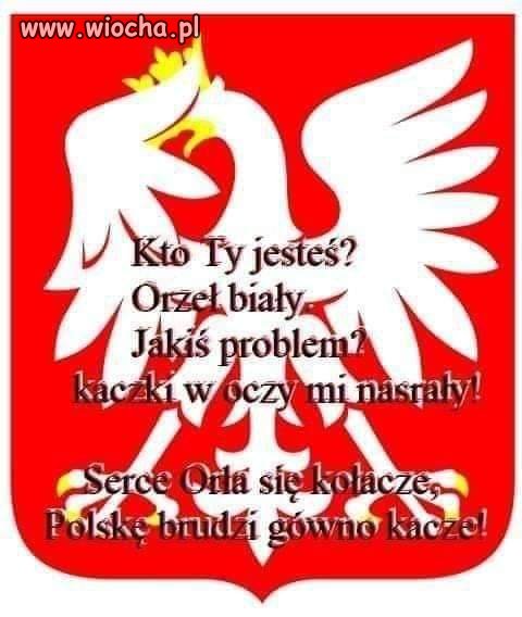 Nowy wierszyk dla Polaków