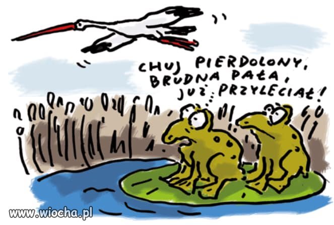 Idzie wiosna