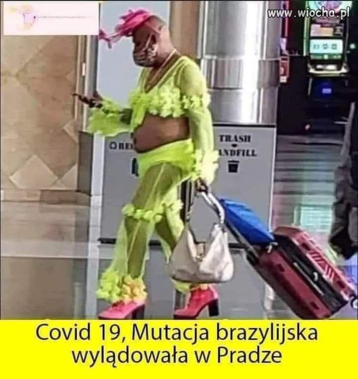 Covid wylądował 