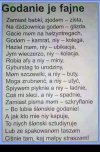 Po Śląsku 