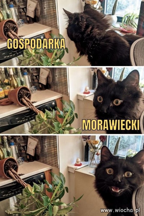 Tak było!