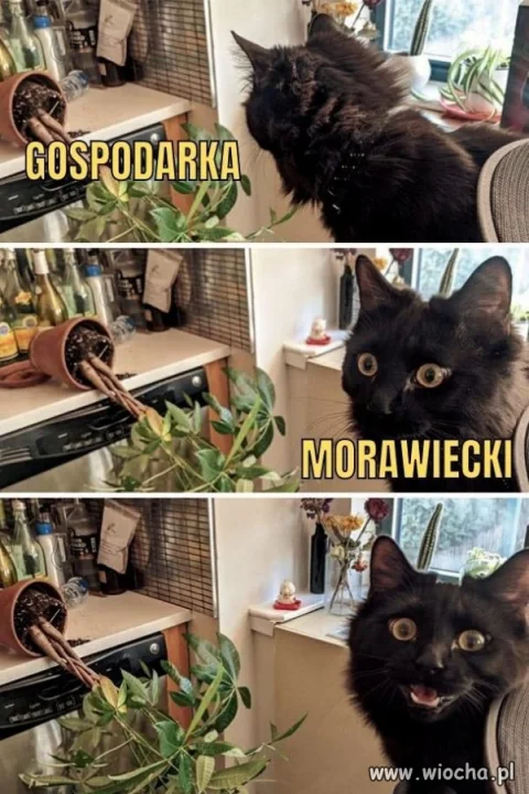 Tak było!