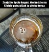 Piję, ale bąbelki tak nie patrzą 