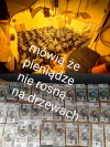 Pieniądz