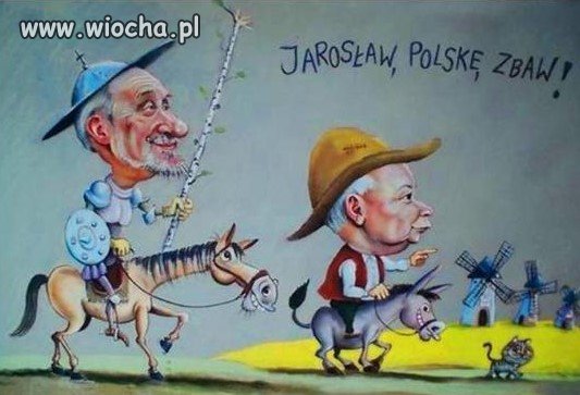 Trzy osiołki, koń i kot.