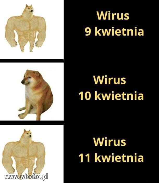 Tak będzie. Miesięcznica musi być. 